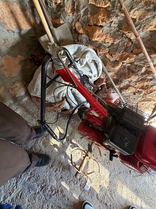 Mula de labranza antigua