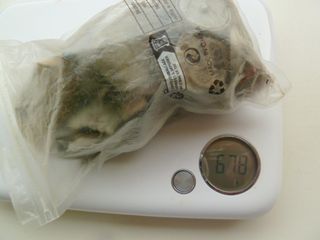 Lote chatarrilla objetos variados