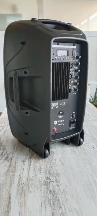 Altavoz Amplificado Wiibo 12" con Luces LED