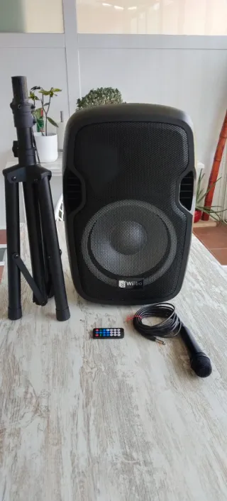 Altavoz Amplificado Wiibo 12" con Luces LED