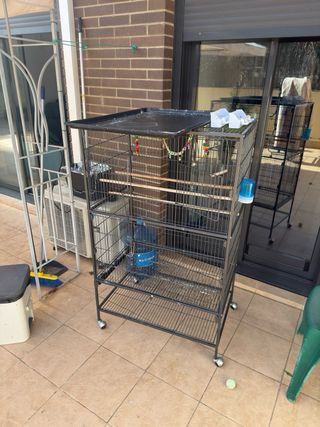Jaula para Carolina o Agaporni