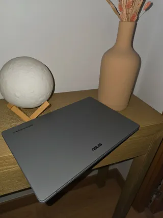 Chromebook Plus CX14 14 Gris ASUS