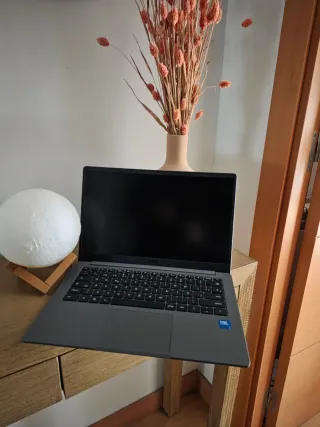 Chromebook Plus CX14 14 Gris ASUS