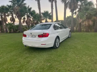 BMW Serie 3 2014