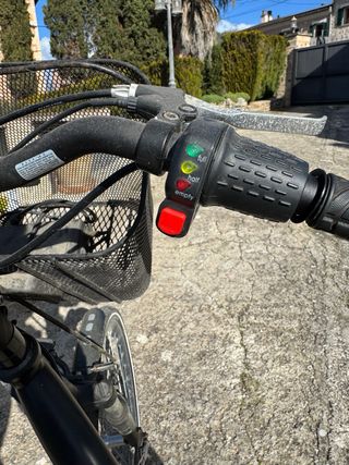 Bici Eléctrica Paseo