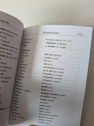 FRANCÉS. Guía de conversación y diccionario (Fr...