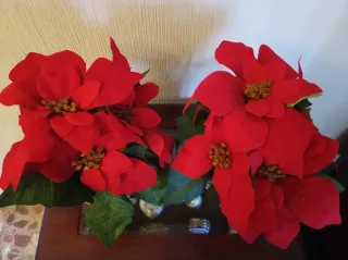 2 Plantas de Pascua Artificiales Rojas