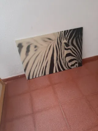 Cuadro Cebra Ikea Beige y Negro