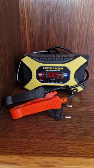 Cargador Baterías Coche 12V/24V