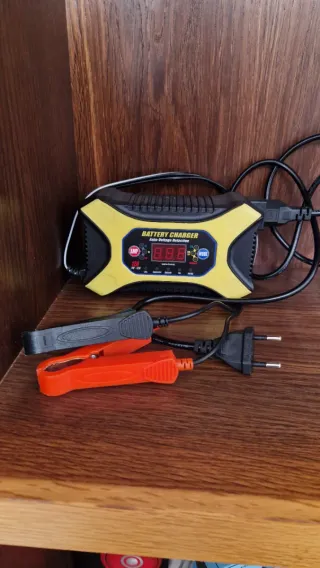 Cargador Baterías Coche 12V/24V