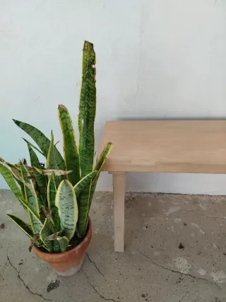 Banco de madera estilo mediterráneo