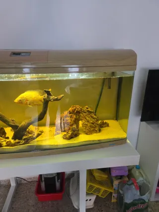 Acuario 150x50x70