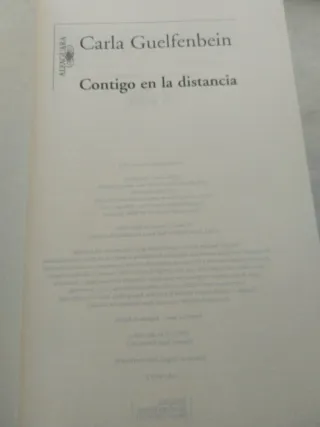 Contigo en la distancia (Premio Alfaguara de no...