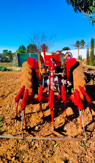 Cultivador 3 puntos Massey Ferguson 135/ EBRO 135