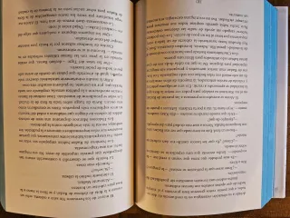 La república del dragón