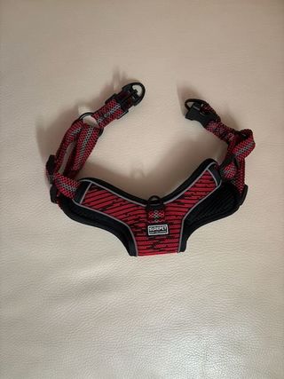 Arnés y Correa para Perro Talla M SLIPEPET