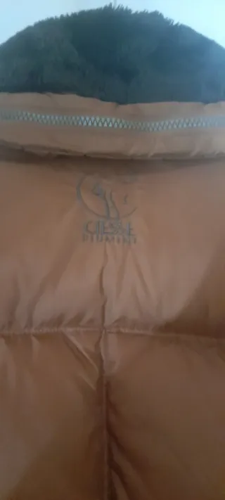 Piumino Ciesse Piumini Marrone Donna Taglia 42