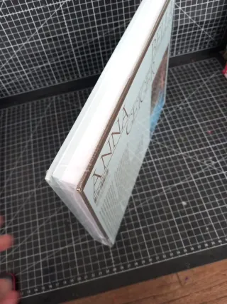 Anna Bella Geiger: Native Brazil/Alien Brazil