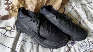 Nike Pegasus Trail 4 GTX v2 Talla 42