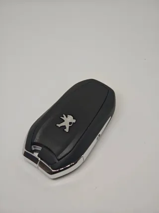 Carcaça Chave Peugeot