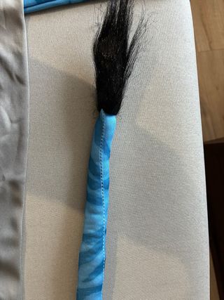 Disfraz Avatar Niño Talla 10-12 años