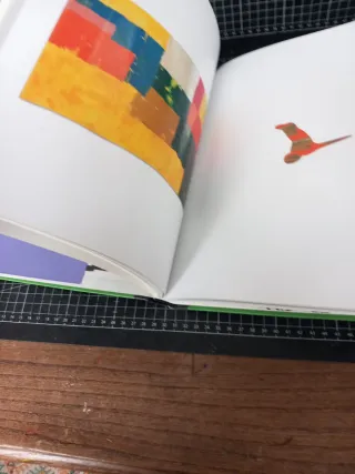 Livro de arte Calapez