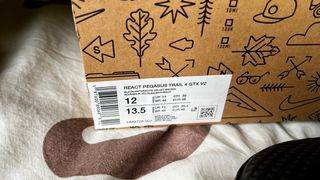 Nike Pegasus Trail 4 GORE-TEX Talla 46