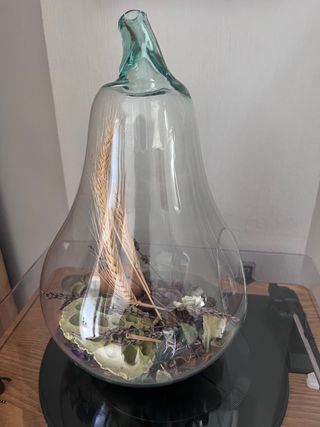 Jarrón terrario de cristal