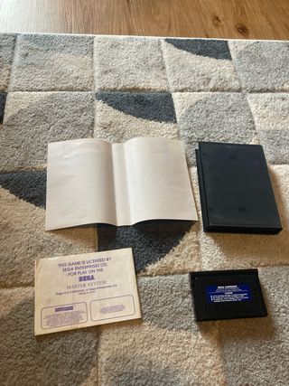 The New Zealand Story Master System Sega