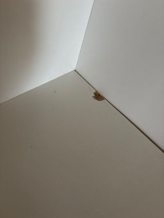 Estantería Blanca Ikea Billy