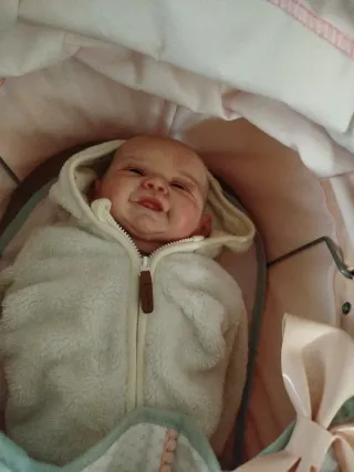 Carrito y bebé reborn