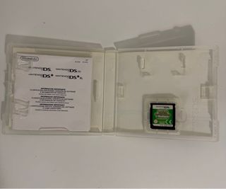 Pokemon Mystery Dungeon Esploratori del Cielo DS