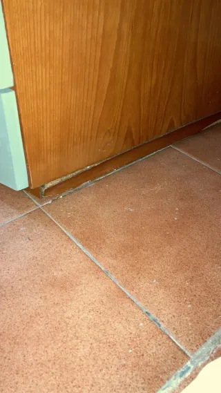 Armario de madera alto