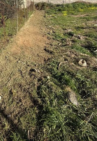 Servicios de desbroce