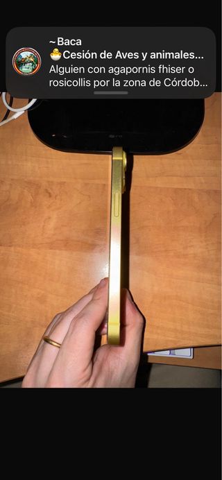 iPhone 14 128GB Amarillo Impecable