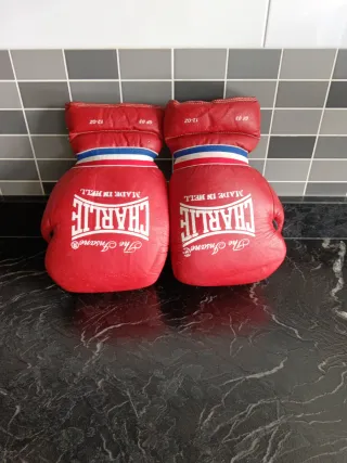 Guantes de Boxeo Charlie 12 oz