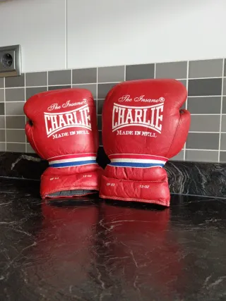 Guantes de Boxeo Charlie 12 oz