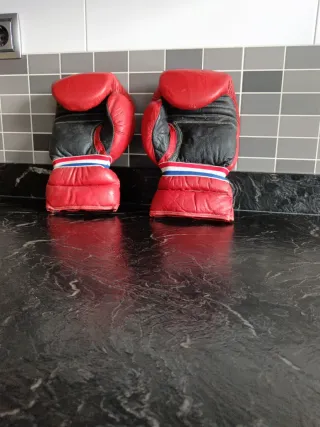 Guantes de Boxeo Charlie 12 oz