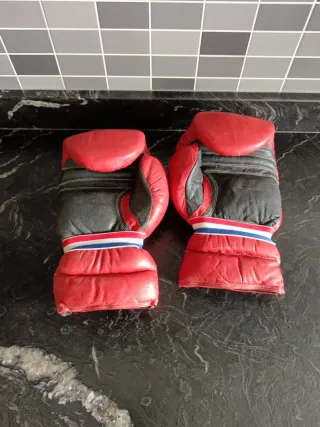 Guantes de Boxeo Charlie 12 oz