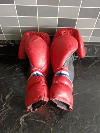 Guantes de Boxeo Charlie 12 oz