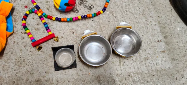 Accesorios petauro del azucar