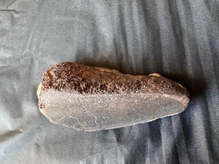 Meteorite CK5 20,7g con Crosta e Faccia Lucida+COA