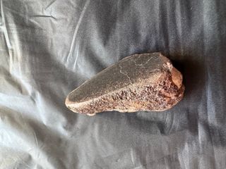 Meteorite CK5 20,7g con Crosta e Faccia Lucida+COA