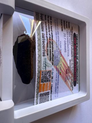 Meteorite CK5 20,7g con Crosta e Faccia Lucida+COA