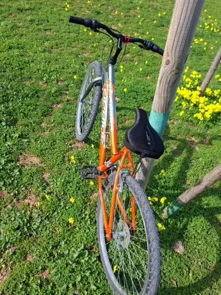 Bicicleta Naranja Aluminio