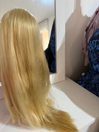 Muñeca Rapunzel Disney Animators