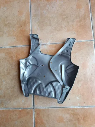 Disfraz Caballero Espada, Pecherín y Escudo Dragón