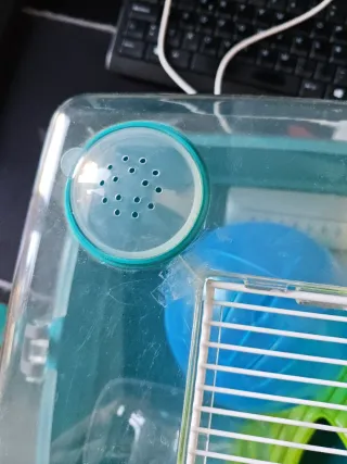 Jaula para hámster azul y verde