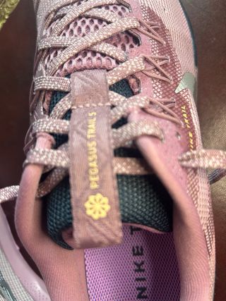 Nike Pegasus Trail 5 Gore-Tex
