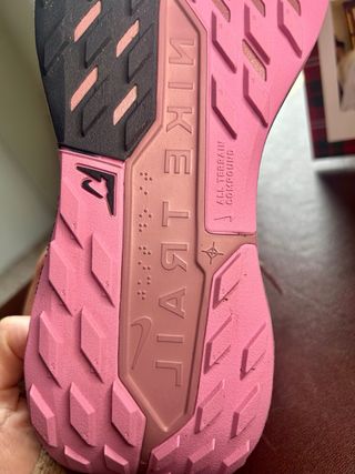 Nike Pegasus Trail 5 Gore-Tex